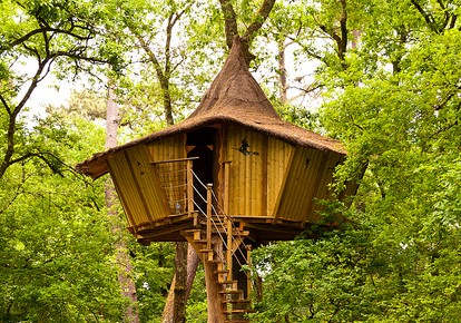 cabane arbres