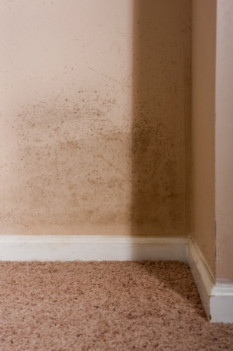 Traitement contre l&rsquo;humidité : que pouvez-vous faire contre ce fléau dans la maison ?